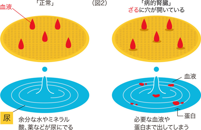 尿 に 血 が 混じる